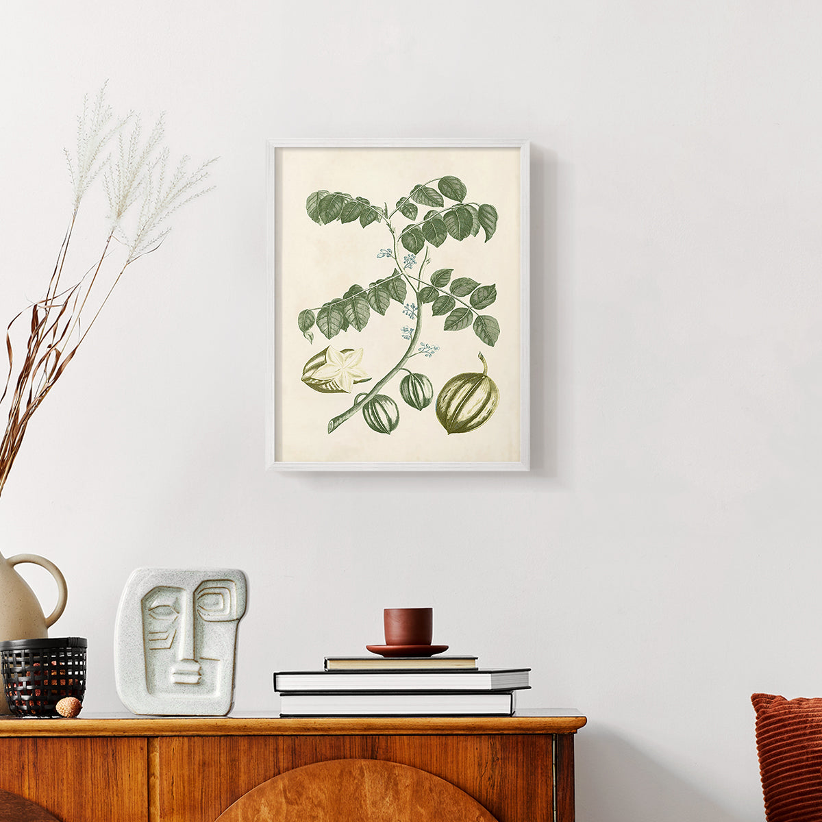 Buchoz Tropicals II - Restickable Framed Art Print