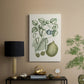 Buchoz Tropicals VIII - Canvas Art Print