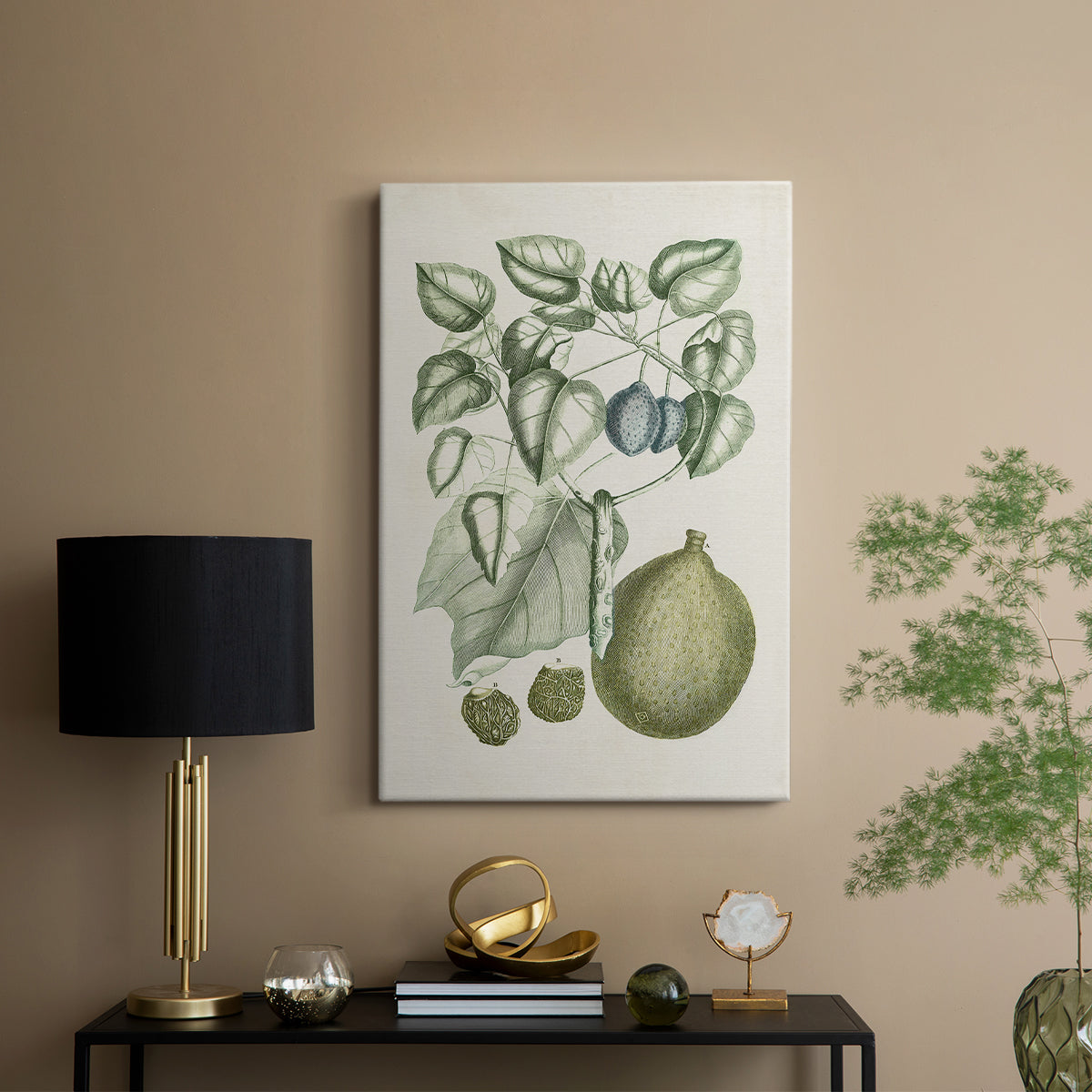 Buchoz Tropicals VIII - Canvas Art Print