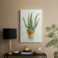 Succulent IV - Canvas Art Print