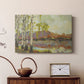 Birch Stand - Canvas Art Print