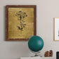 Gold Sketch Botanical II - Premium Canvas Framed in Barnwood - Ready to Hang