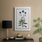 Soft Botanical II - Canvas Art Print