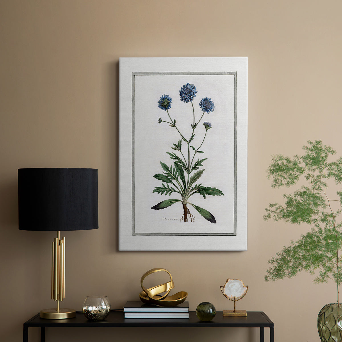 Soft Botanical II - Canvas Art Print