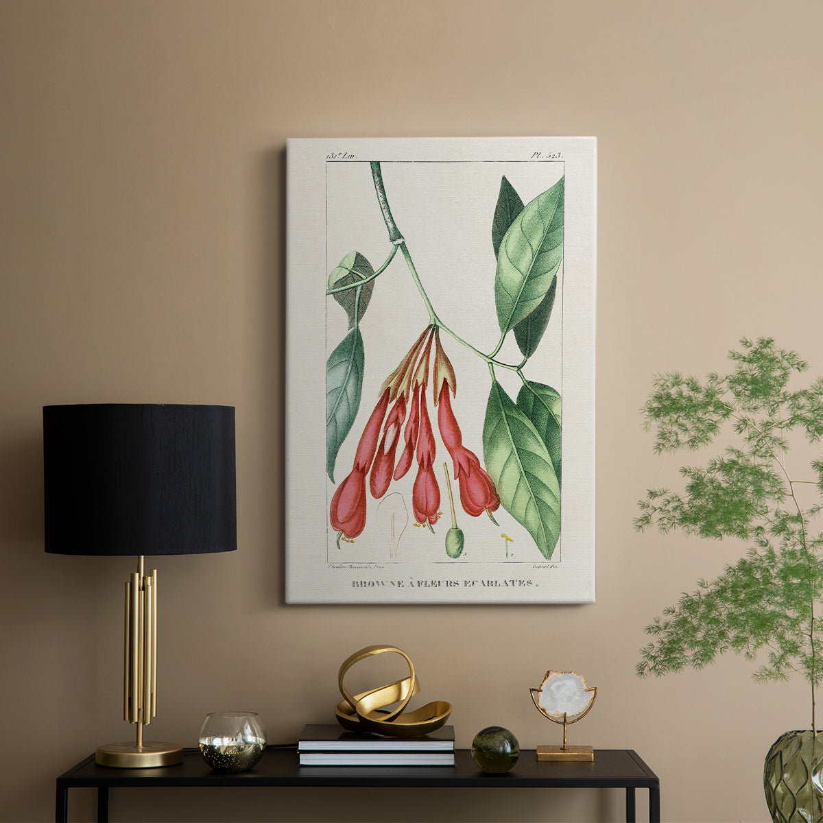 Turpin Tropical Botanicals I - Canvas Art Print