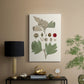 Leaves & Berries IV - Canvas Art Print
