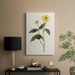 Flowers of the Seasons X - Canvas Art Print