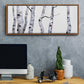 Birch Trees I - Floater Framed Canvas Print