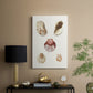 Pastel Knorr Shells V - Canvas Art Print