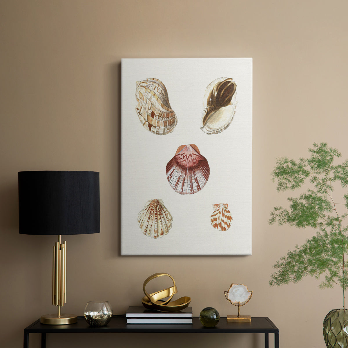 Pastel Knorr Shells V - Canvas Art Print