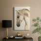 Golden Palomino II - Canvas Art Print