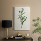 Flowers of the Seasons V - Canvas Art Print