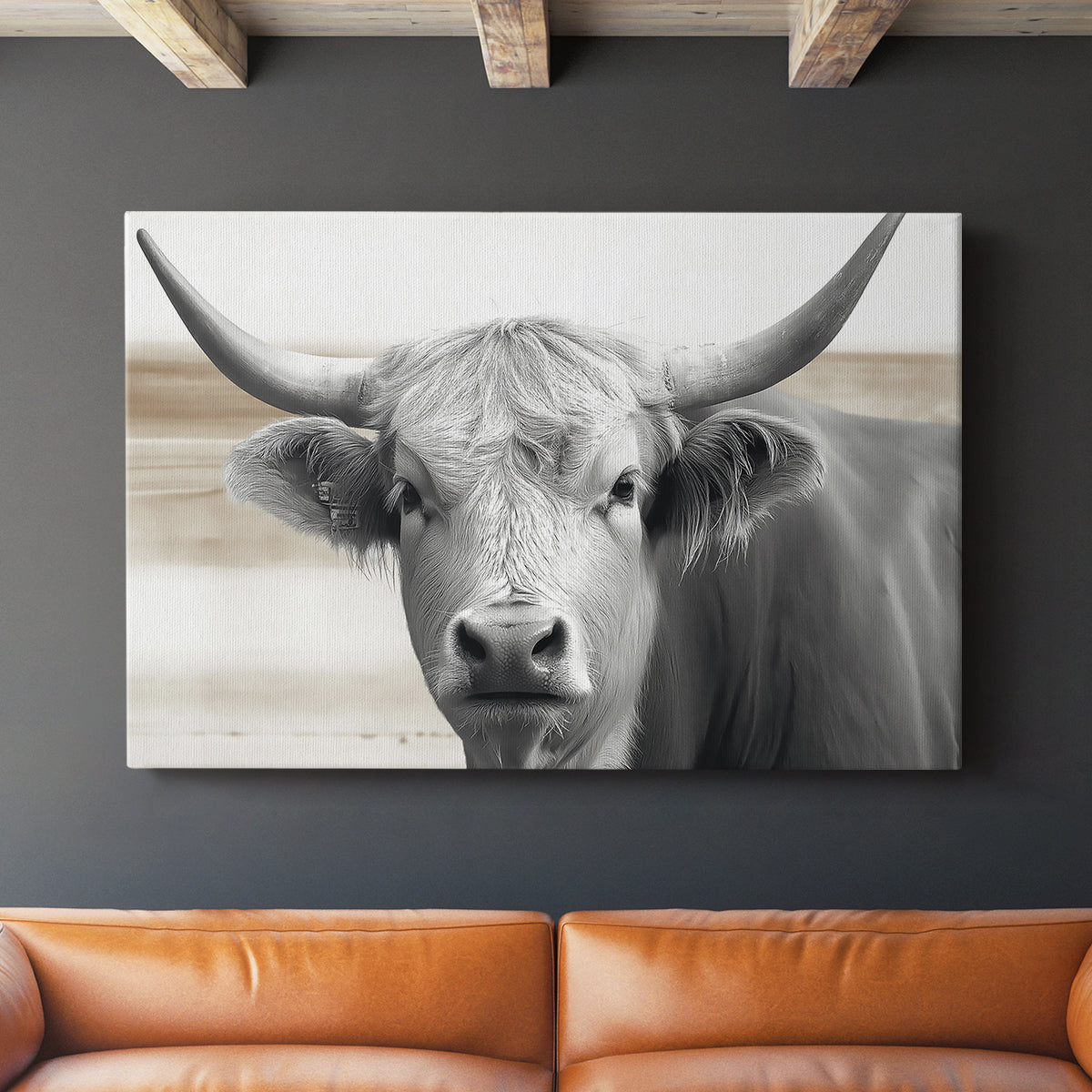 Steer XCI - Canvas Art Print