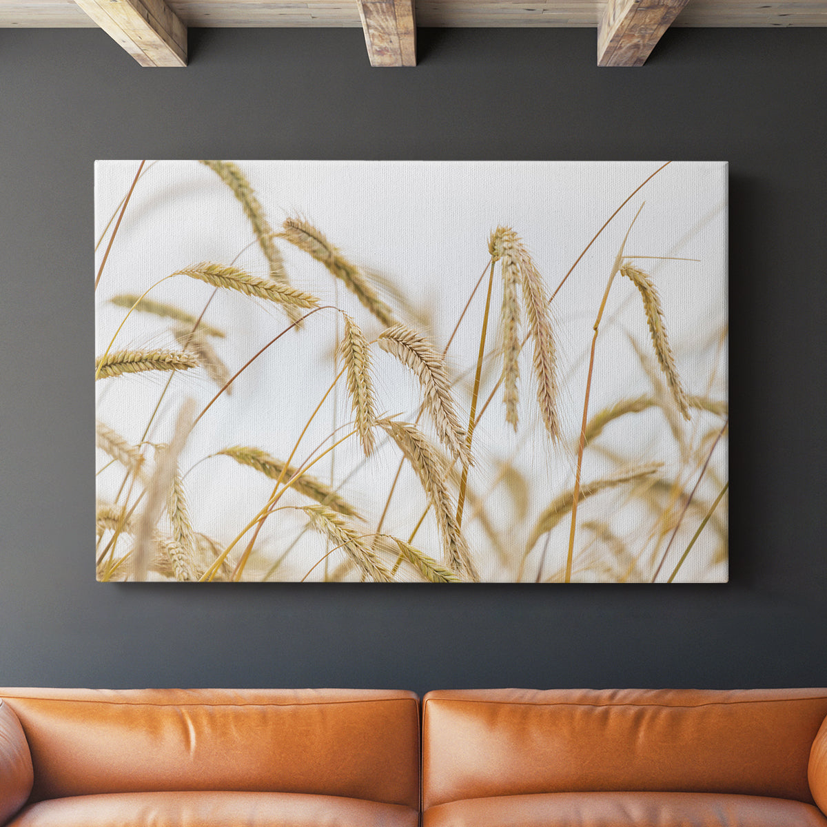 Wheat - Canvas Art Print