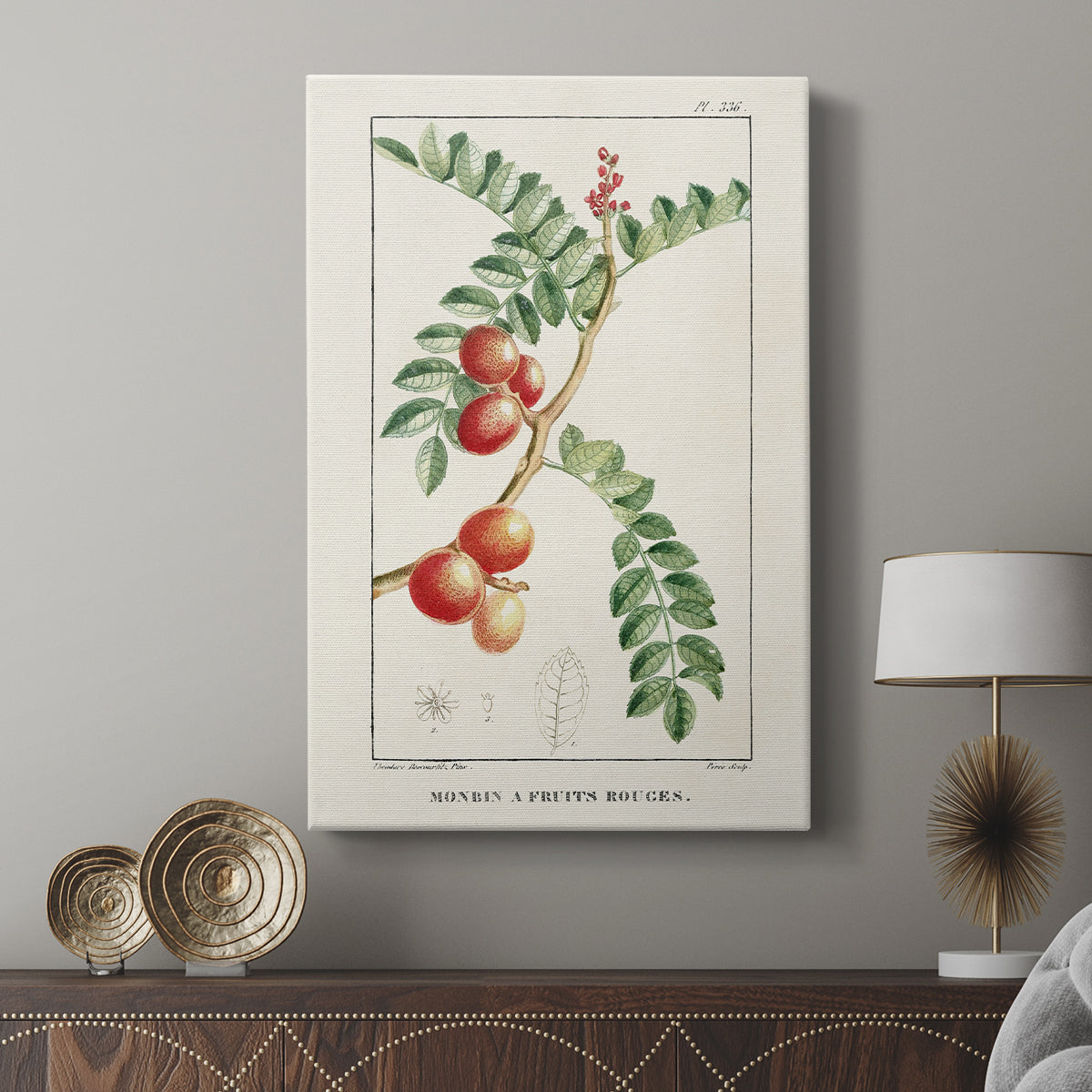 Turpin Tropical Botanicals III - Canvas Art Print