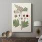 Leaves & Berries IV - Canvas Art Print