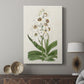 Flore Albo I - Canvas Art Print