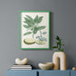 Buchoz Tropicals IV - Restickable Framed Art Print