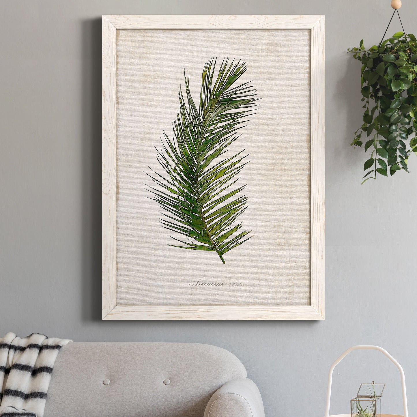 Palm Botanical II - Premium Canvas Framed in Barnwood - Ready to Hang