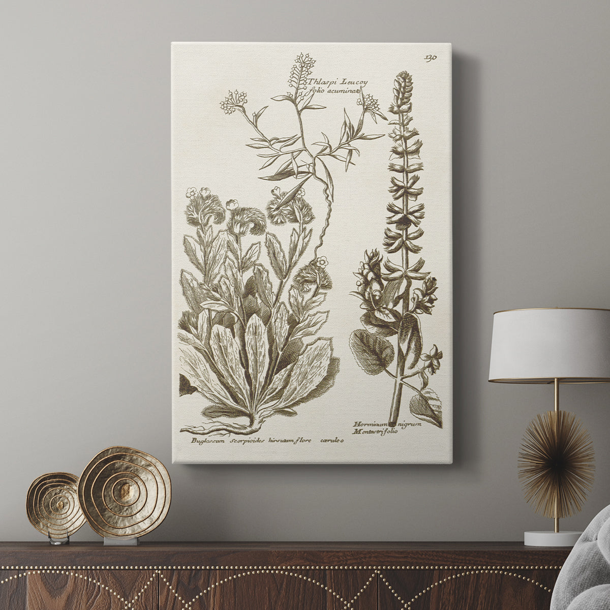 Sepia Botanical Journal IV - Canvas Art Print