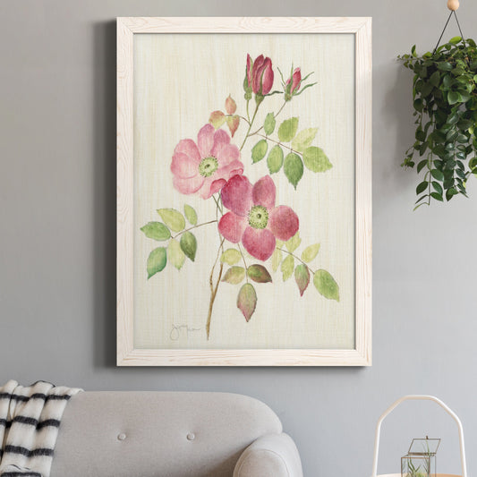 Dusty Rose I - Barnwood Framed Canvas Print