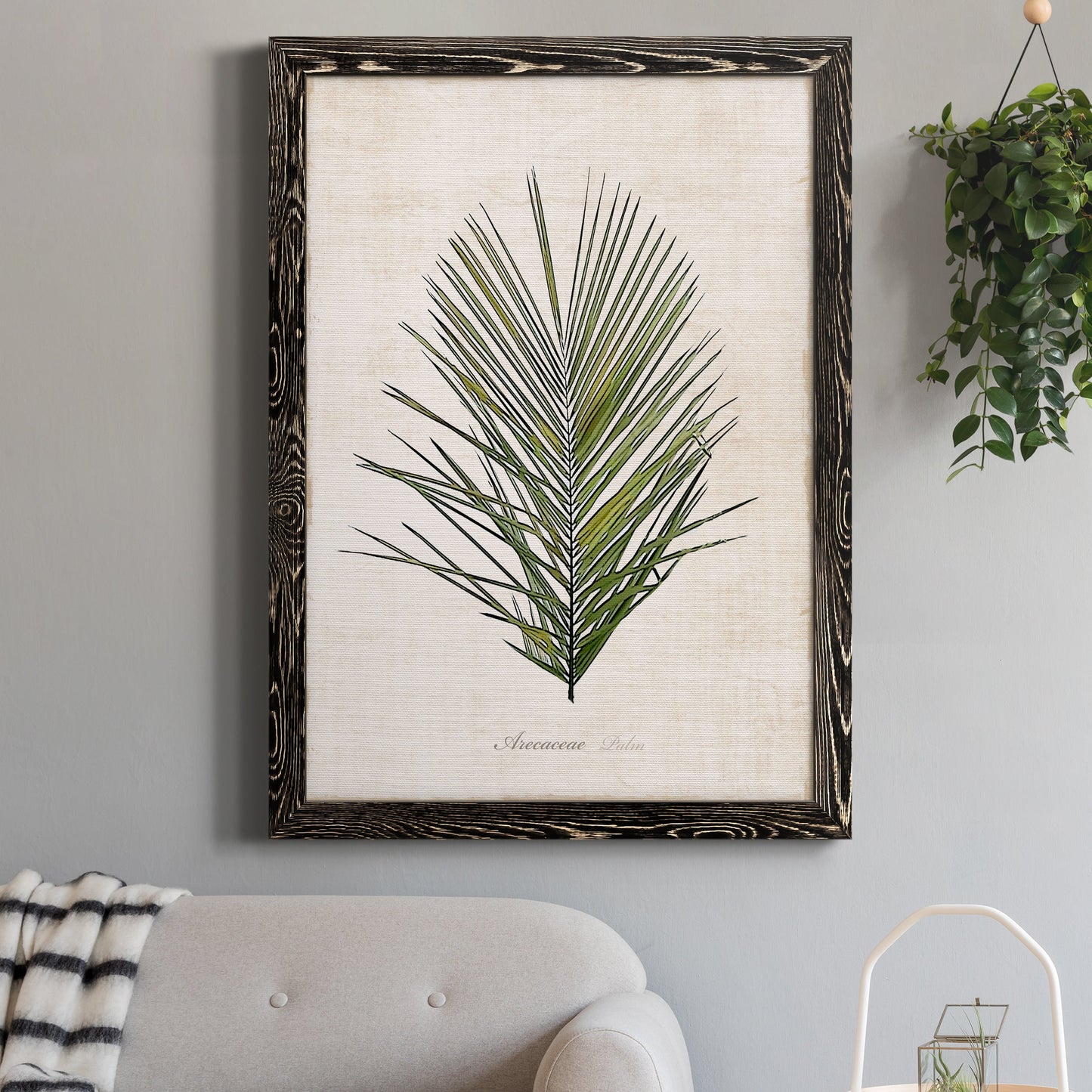 Palm Botanical I - Premium Canvas Framed in Barnwood - Ready to Hang