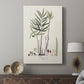 Botanical Society Ferns XI - Canvas Art Print