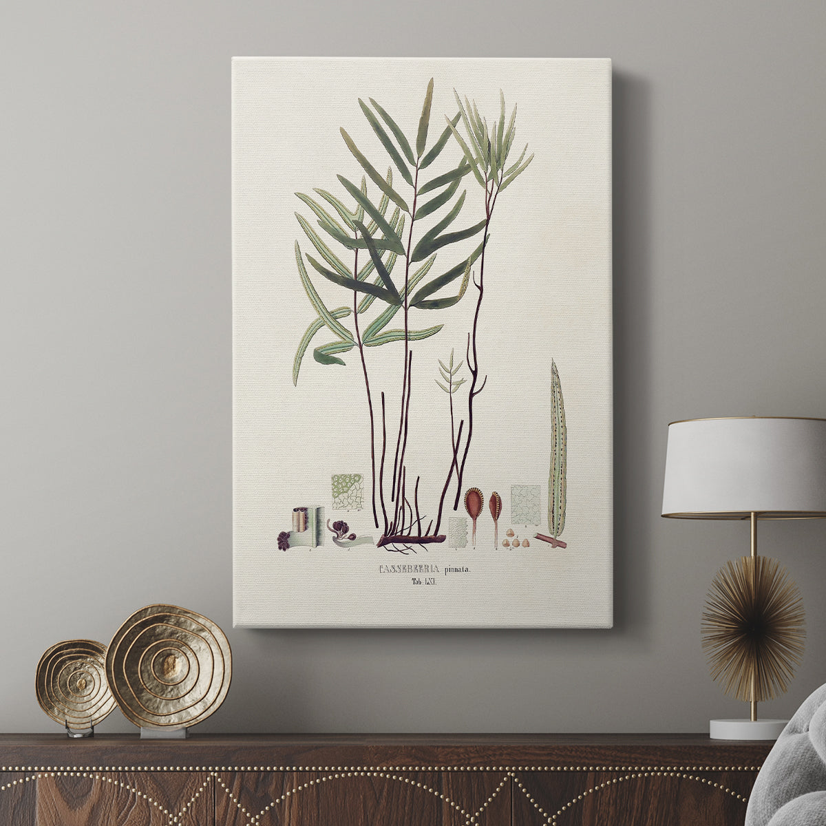 Botanical Society Ferns XI - Canvas Art Print