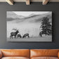 Mountain Elk - Canvas Art Print