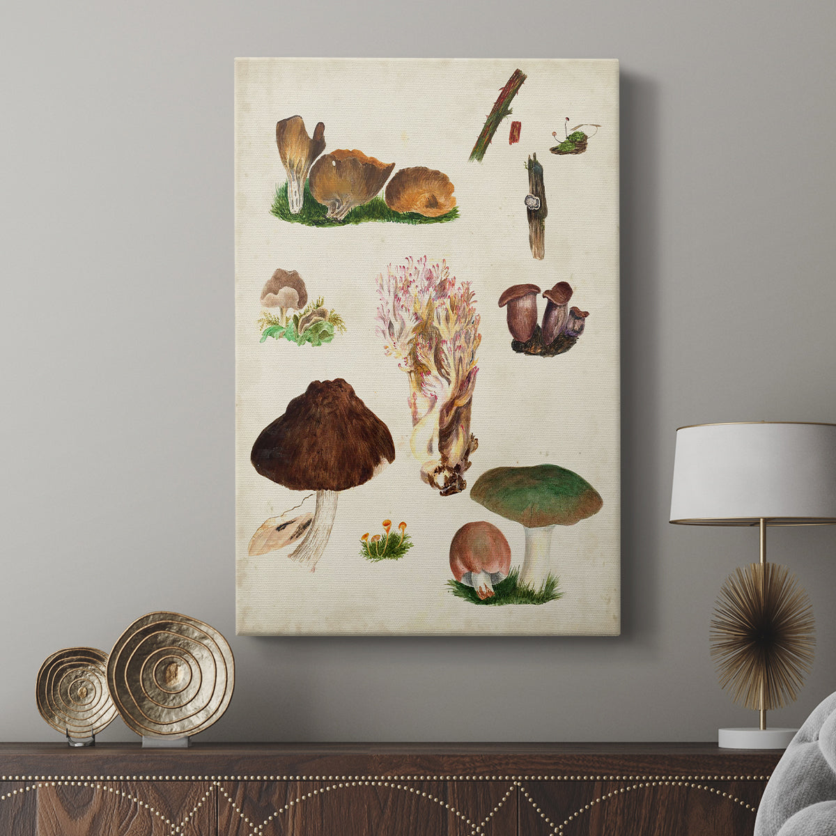 Mushroom Species IX - Canvas Art Print
