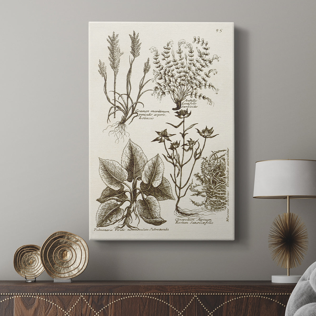 Sepia Botanical Journal VII - Canvas Art Print