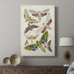 Antique Moths II - Canvas Art Print