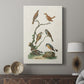 Antique Birds in Nature IV - Canvas Art Print