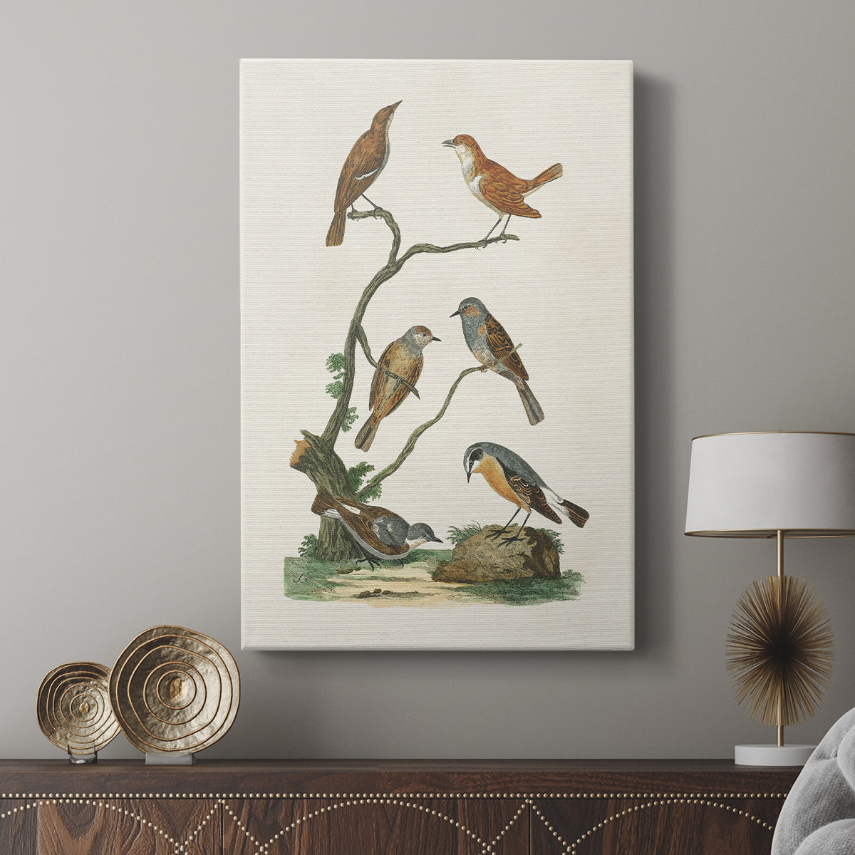 Antique Birds in Nature IV - Canvas Art Print