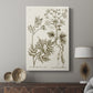 Sepia Botanical Journal III - Canvas Art Print