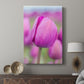 Magenta Stem - Canvas Art Print