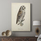 French Owls III - Canvas Art Print