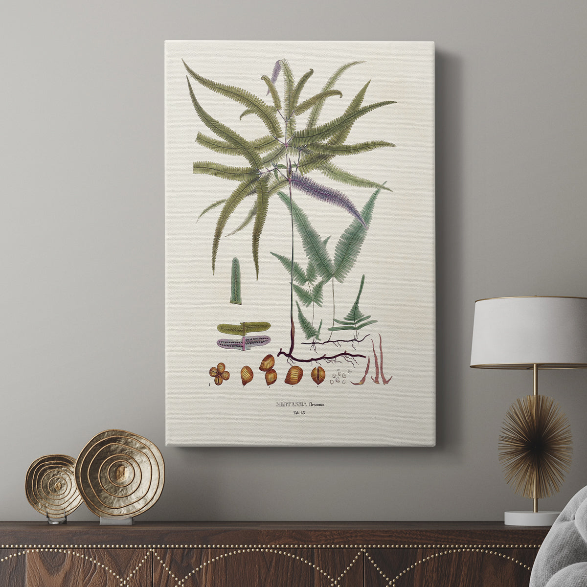 Botanical Society Ferns VIII - Canvas Art Print
