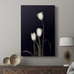 Tulip Pose III - Canvas Art Print