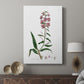 Rose Botanical I - Canvas Art Print
