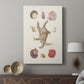 Knorr Shells & Coral II - Canvas Art Print