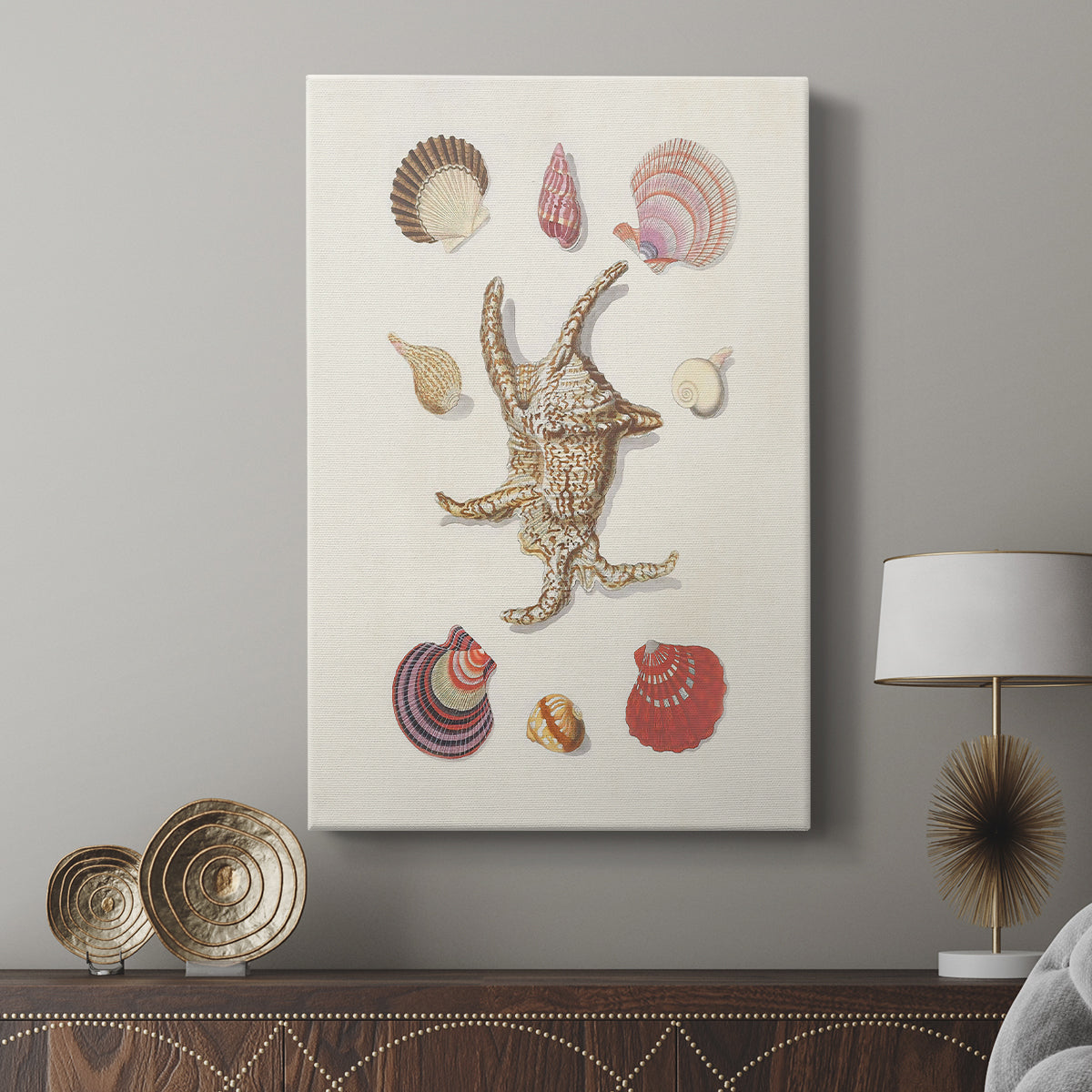 Knorr Shells & Coral II - Canvas Art Print
