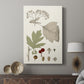 Leaves & Berries II - Canvas Art Print
