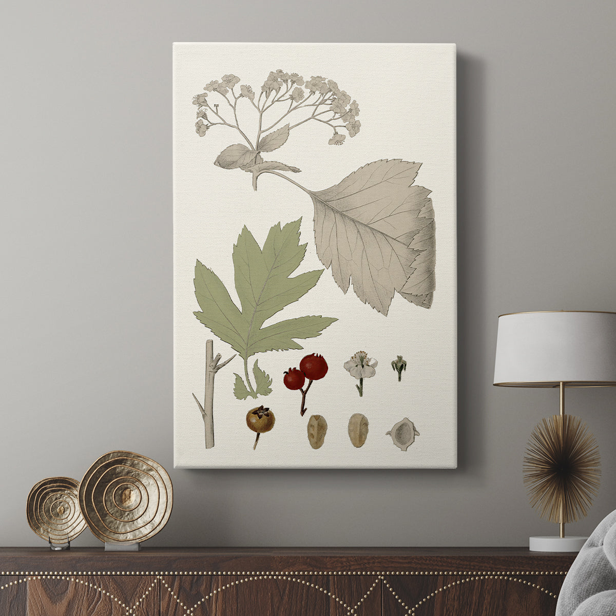 Leaves & Berries II - Canvas Art Print
