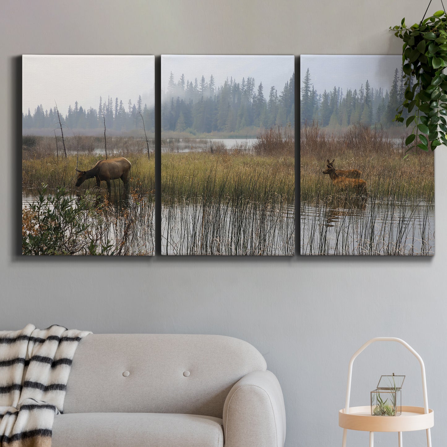 Three-panel canvas wall art featuring wildlife walking through open field, displayed in a modern living room above a sofa.