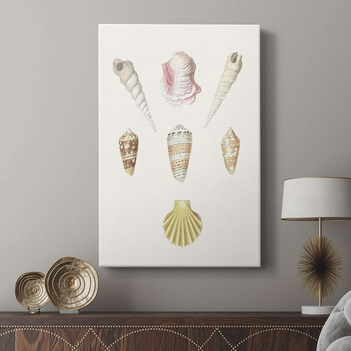 Pastel Knorr Shells I - Canvas Art Print