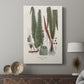 Botanical Society Ferns IV - Canvas Art Print