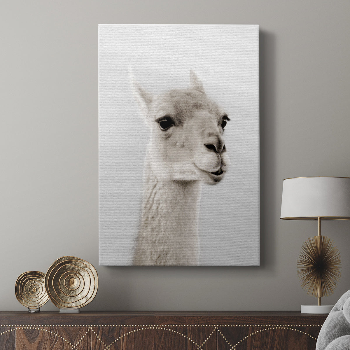 Soft Llama - Canvas Art Print