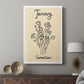 Birth Month I - Canvas Art Print