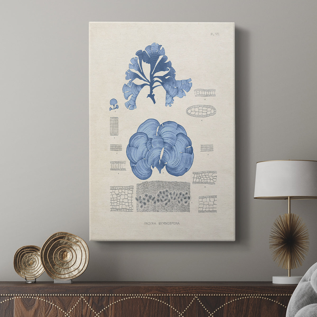 Blue Marine Algae IV - Canvas Art Print